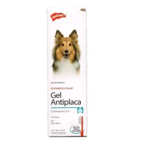 CLORHEXIDINA GEL ANTIPLACA 20 ML Holliday